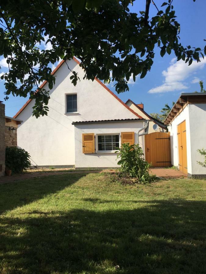 Ferienidyll-Reitwein Villa Kültér fotó