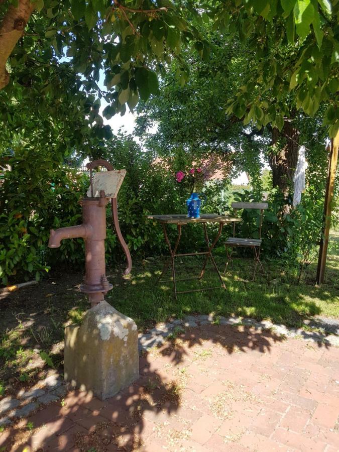 Ferienidyll-Reitwein Villa Kültér fotó